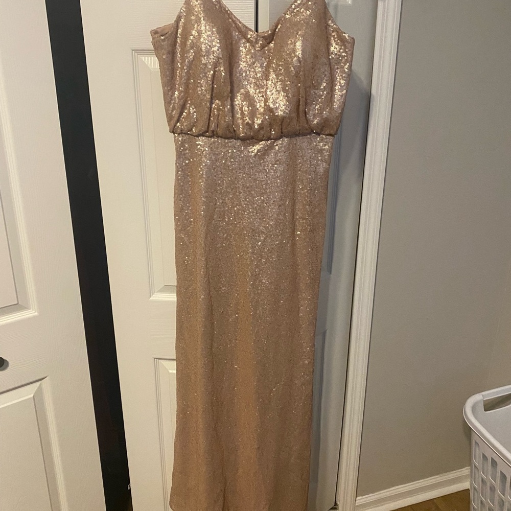 Bari Jay Champagne Sequin Dress